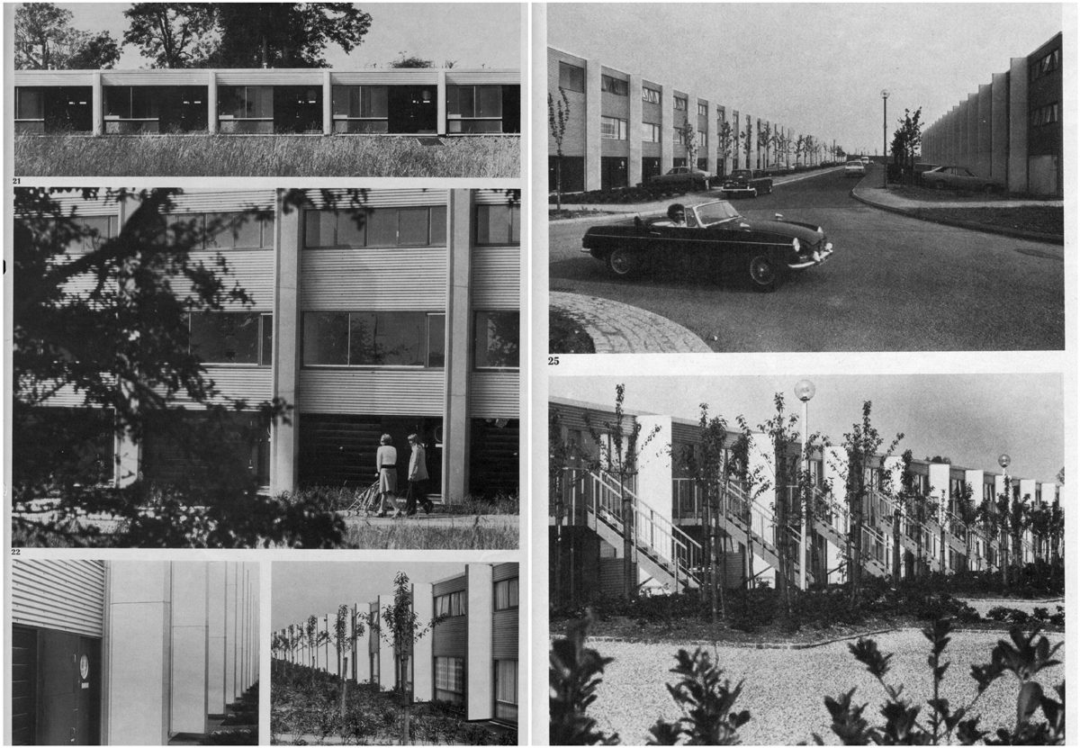 1970s Netherfield Estate housing design characterized by long white-walled terraces. Credit: architecturetoday.co.uk